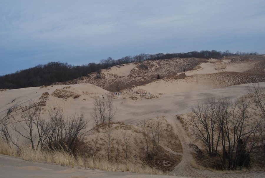 The sandy edge of Warren dune in Michigan. Surrounding it are nearly 2000 acres of park land.