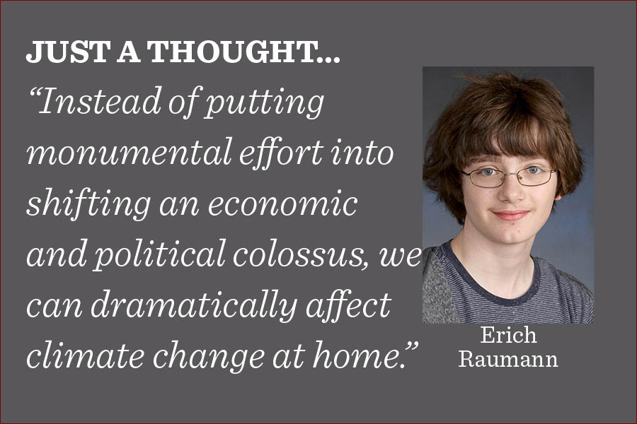 Instead of idly complaining or voting for people who promise to get rid of coal, there are real, tangible things that we can do in our homes to combat climate change much more effectively, writes reporter Erich Raumann.