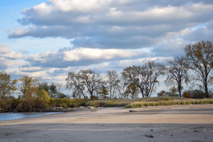 South Shore Nature Sanctuary is a 15-minute drive from Lab and contains six acres of dune, woodland and shrubbery for visitors to walk through. 