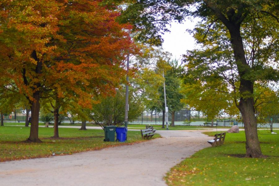 Washington Park, just five minutes from Lab, consists of 300 acres of greenery, lakes and educational spaces. 
