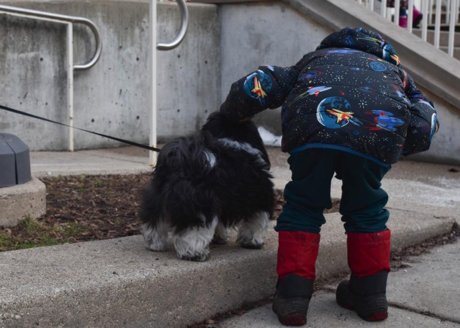 A little boy pets Puka, the family dog of students Ace and Chloe Ma, on Kenwood Mall. Parents with dogs have been taking advantage of pickup time to get to know each other.