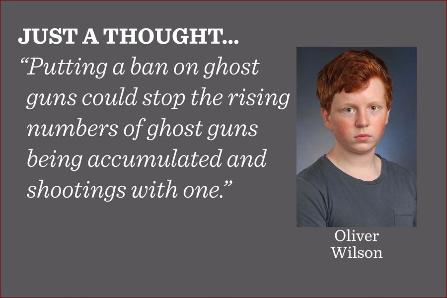 The states are capable of and should reduce the amount of gun violence through banning ghost guns, argues reporter Oliver Wilson.