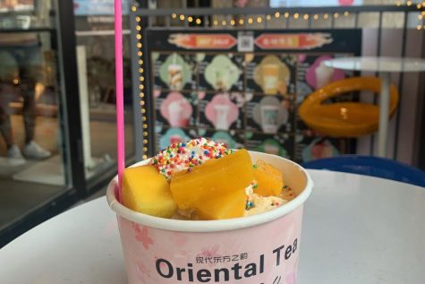 Chicago shops offer variety of iced treats to enjoy in the summer