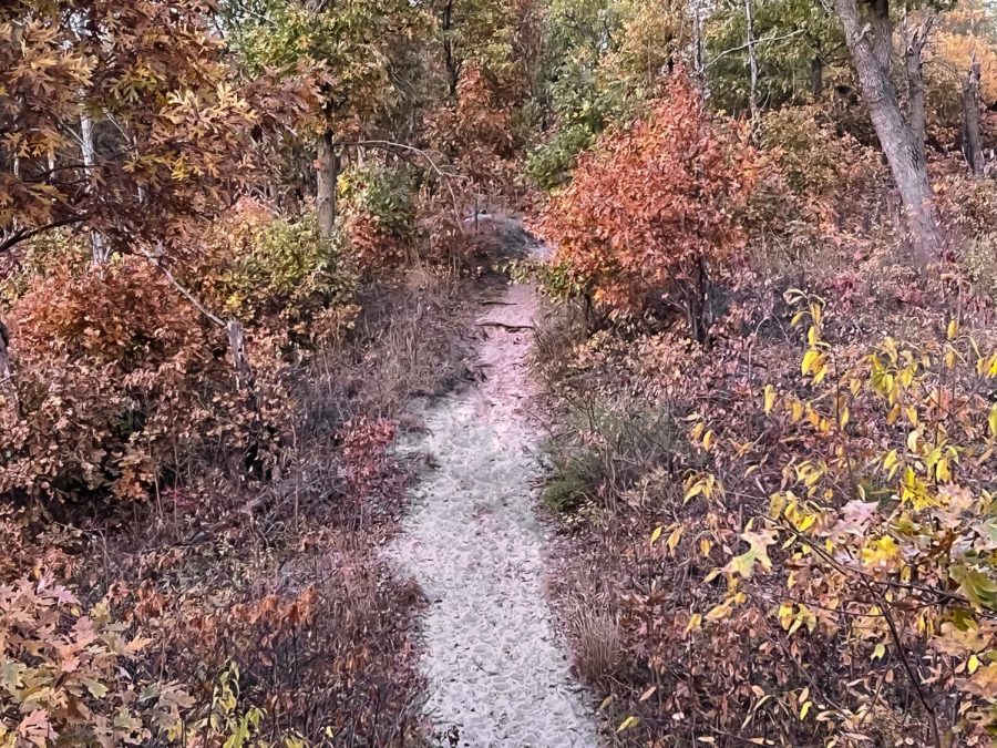 With dozens of stunning trails, the Indiana Dunes State Park is not to be overlooked, even in the fall. 