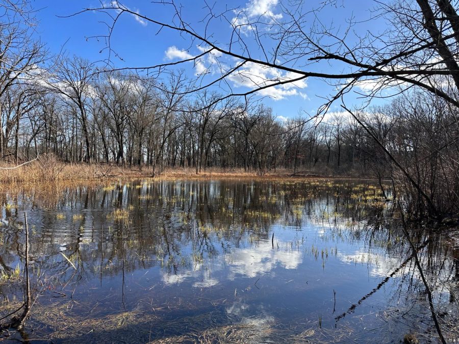 A picturesque lake in the Palos Heights trail system is surrounded by a budding forest. The peaceful trails are only 21 miles. 