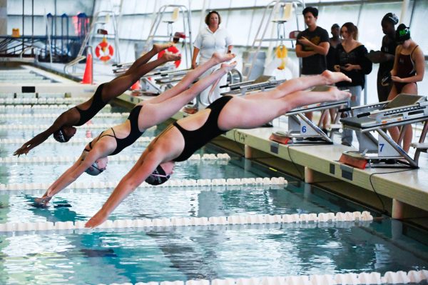 The girls swimming and diving team ended its season after placing fourth at the IHSA Sectionals on Nov. 4 at the University of Illinois at Chicago.