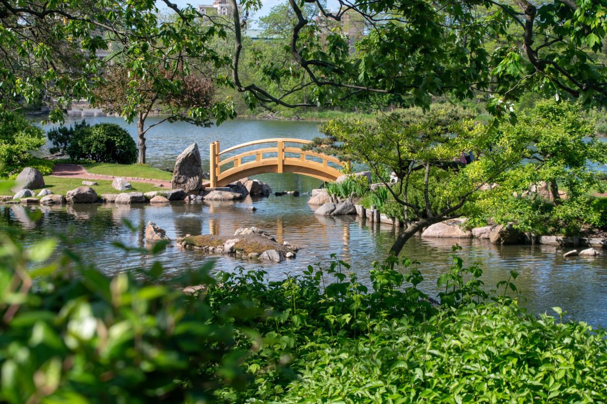 Japanese Garden in Jackson Park, just outside the Griffin Museum of Science and Industry, is a serene area to visit for a break in life.