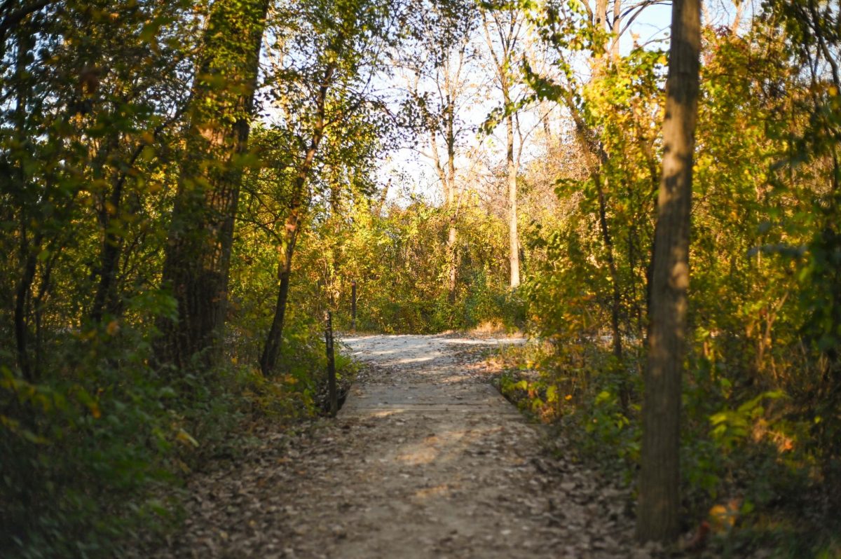 Tips to stay active and beat winter blues with outdoor fitness