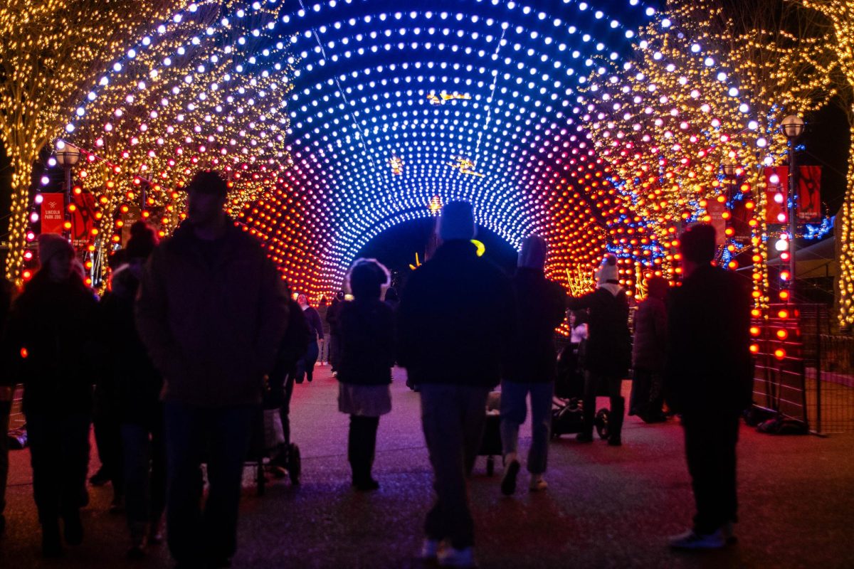 Zoolights keeps Chicago holiday tradition alive