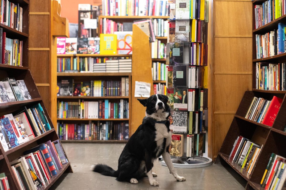 Moss, the resident dog at Powell's,  delights both customers and residents passing by. One of the largest independent bookstores, Powell's first opened in 1970 and sells a varied collection of mostly secondhand books. 