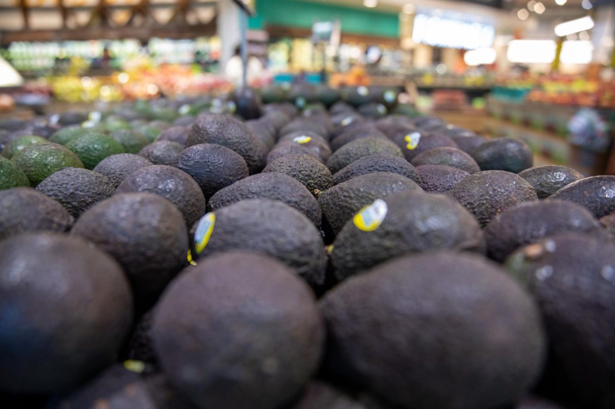 Avocados