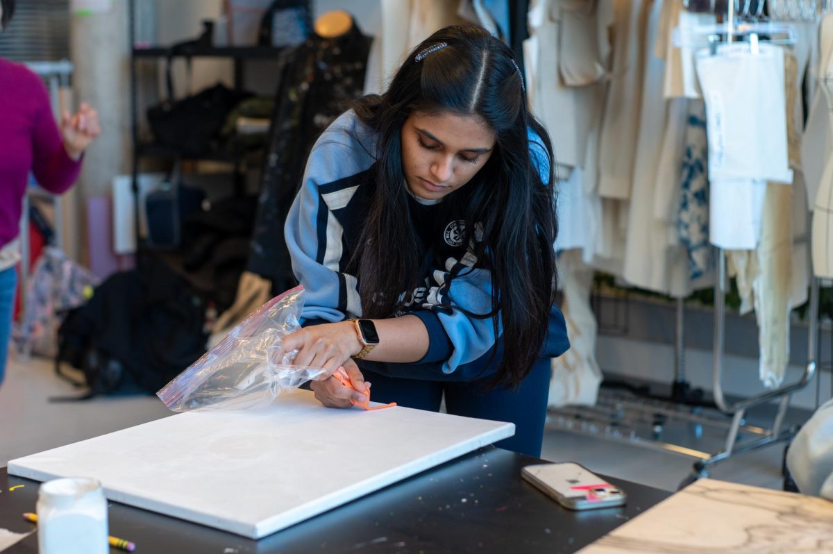 Sahana Agarwal pipes paint onto a canvas for her AP Drawing class. Sahana is one of many seniors who take art. Some students have been worried that taking art as a senior while block them from doing May Project, but the policy, which differs by class, often does allow seniors to leave for May.