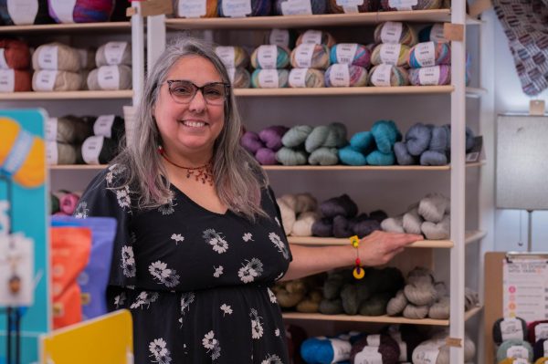 Tina Miklas stands in Fiber Friends, her East Hyde Park store. She provides supplies where they have not been previously available, regardless of location. 