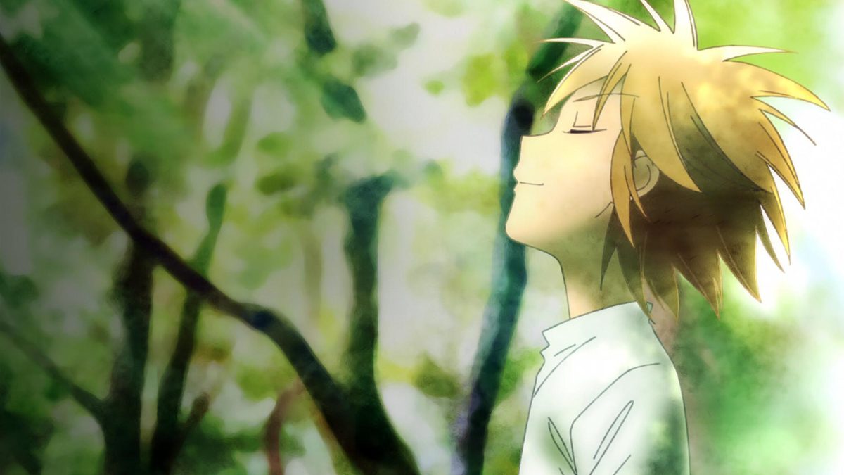 TV Series: “Forest of Piano”