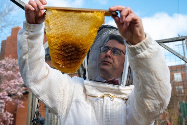 Science teacher Daniel Calleri inspects and sorts through the old honeycombs making sure to clear out any spider webs and a naturally made adhesive called propolis. Because honeybee colonies don’t tend to survive over the Chicago winter, Dr. Calleri has to prepare the hives anew every year.